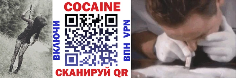Купить  Олёкминск  COCAIN Fish Scale 
