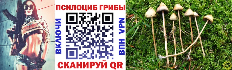 Галлюциногенные грибы GOLDEN TEACHER  Купить закладки  Олёкминск 